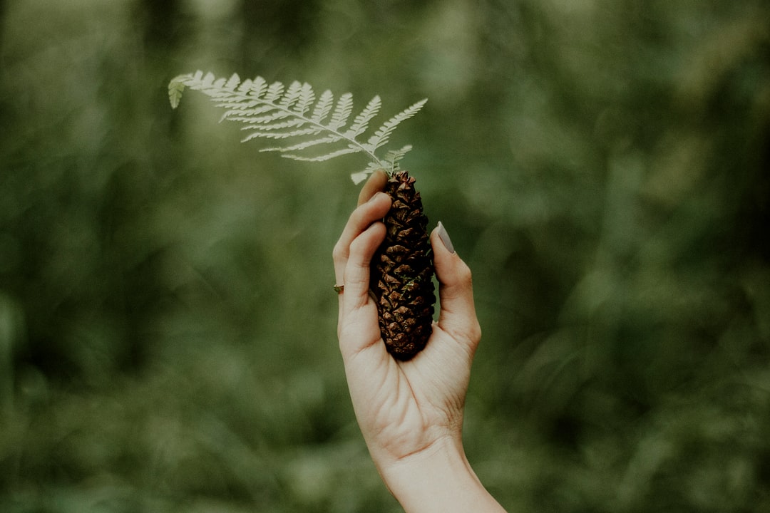 Różnice między inwestycją pre-seed a seed dla branży medycznej